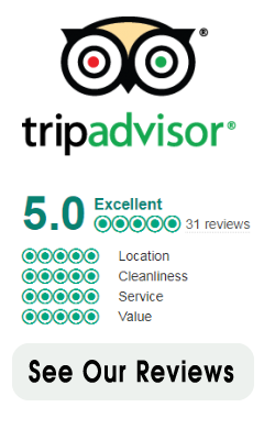 trip advisor logo